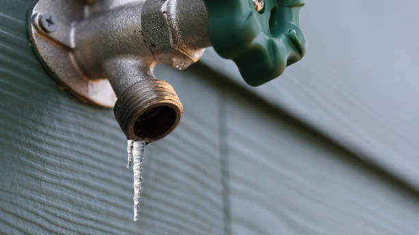 Best 24-Hour Plumber Near Me  in Falcon Heights, MN